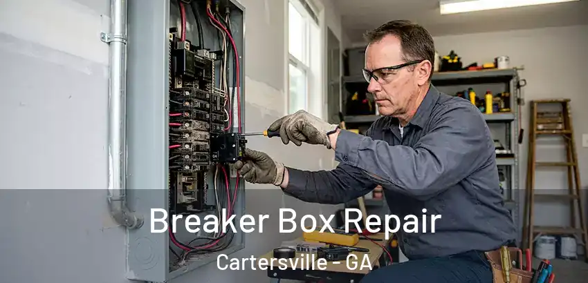 Breaker Box Repair Cartersville - GA