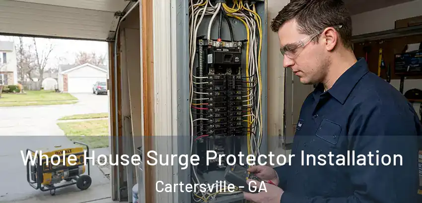 Whole House Surge Protector Installation Cartersville - GA